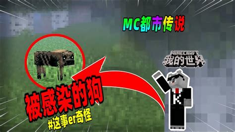 我的世界都市传说：如果狗被僵尸村民感染后，会发生什么？（minecraft都市傳說） Youtube