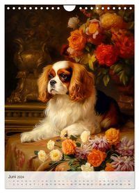 Cavalier King Charles Spaniel Wandkalender Din A Hoch