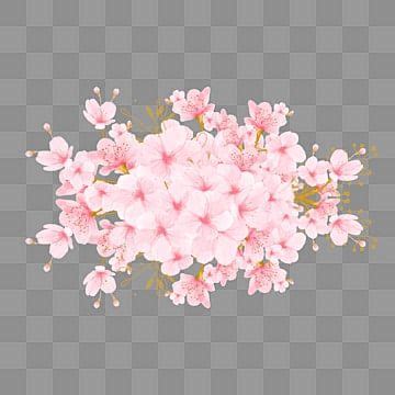 Cherry Blossom Card Vector Hd Png Images Cherry Blossoms Latest Design