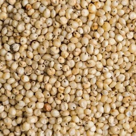 Natural Pearl Millet And Jowar, 1 %, Packaging Size: 30 Kg at Rs 39/kg ...