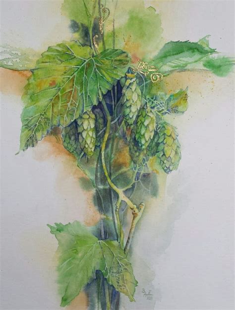 Hopfen Aus Der Serie Lebe Jeden Moment Aquarell Von Brigitta M