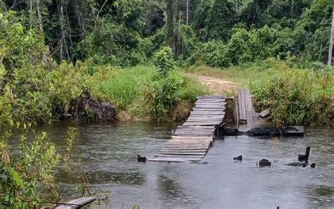 Passarela improvisada em rio entre Sinop e Santa Carmem é levada