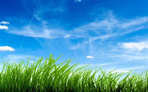 Blue Sky Green Grass wallpaper | colorful | Wallpaper Better