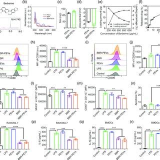 Bbrpevs Inhibit Activation Of Macrophages And Dcs In Vitro A