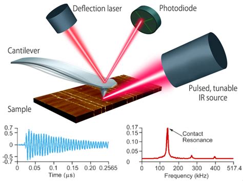 Afm Ir Applications In Medicine