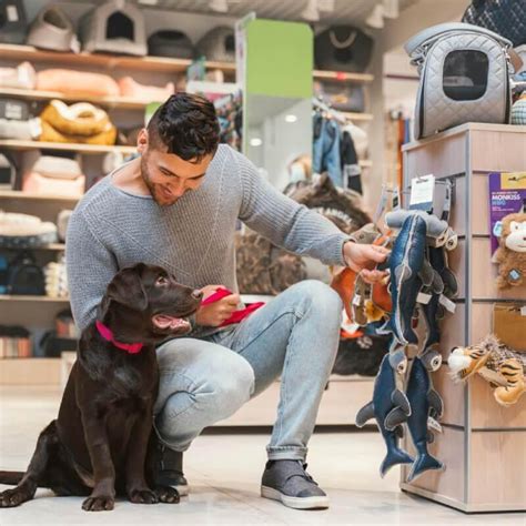 Se Pueden Vender Perros En Tiendas De Mascotas