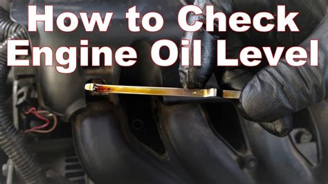 How To Properly Check Oil Level In Car Middling Cyberzine Pictures