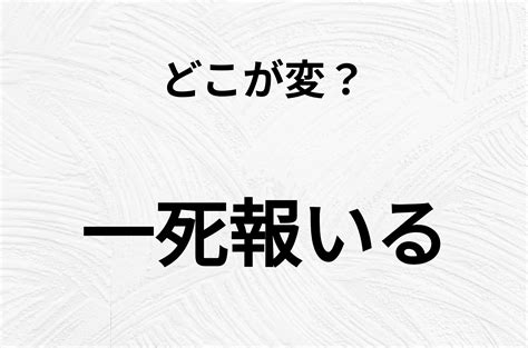 【脳トレクイズ】「一死報いる」の不自然な点に気づきますか？間違い漢字クイズ Omoroidオモロイド