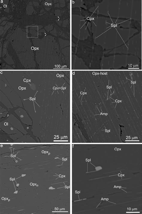 Formation and coalescence of precipitates in deformed orthopyroxene ...