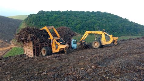 Transporte De Cana De Açúcar Engenho Sibiró Grande Usina JB YouTube