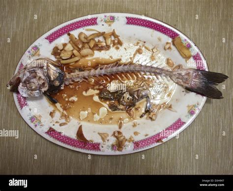 Bone Fish Hi Res Stock Photography And Images Alamy