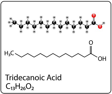 Tridecanoic Acid Molecule Stock Illustration - Download Image Now - iStock