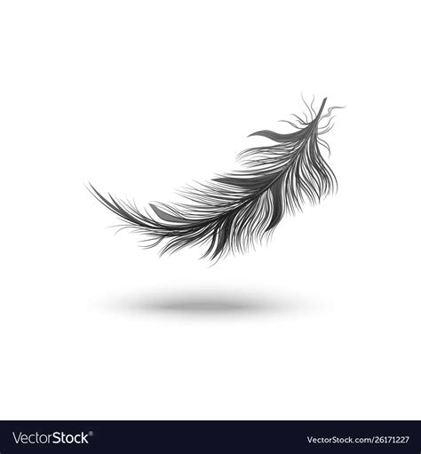 Black Falling Fluffy Feather Royalty Free Vector Image