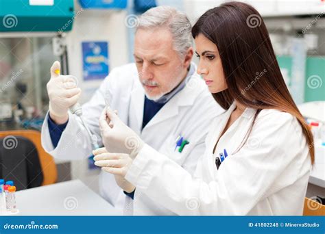 Couple Of Scientist Researching In A Laboratory Stock Photo Image Of