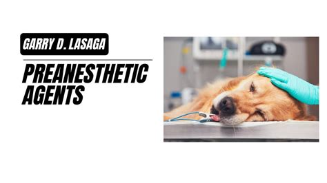 Vet Pharma Preanesthetic Agents Introduction Youtube