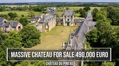 Enormous Chateau For Sale Chateau Du Pineau Bellevigne En Layon