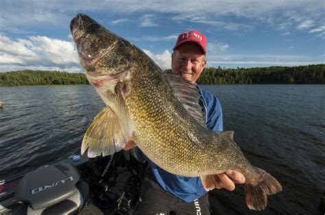 More ‘eyes During The Mayfly Hatch Target Walleye