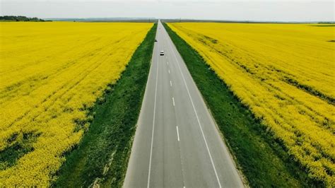 Camino Del Pa S En La Primavera De Campo De Violaci N De Flores