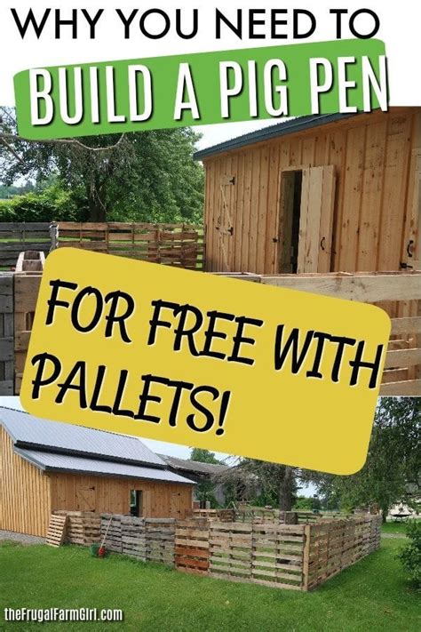 How To Build A Mini Pig Pen Using Pallets In Under 60 Minutes Pig