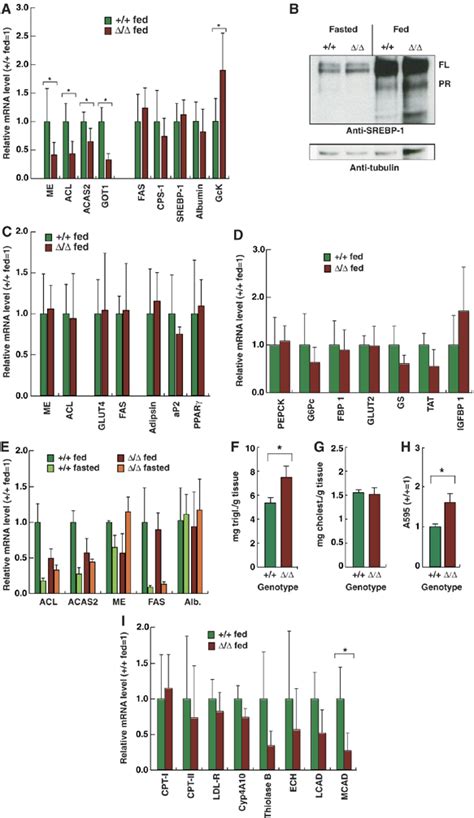 Distinct C Ebp Motifs Regulate Lipogenic And Gluconeogenic Gene