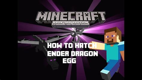 Minecraft How To Hatch Ender Dragon Egg Youtube