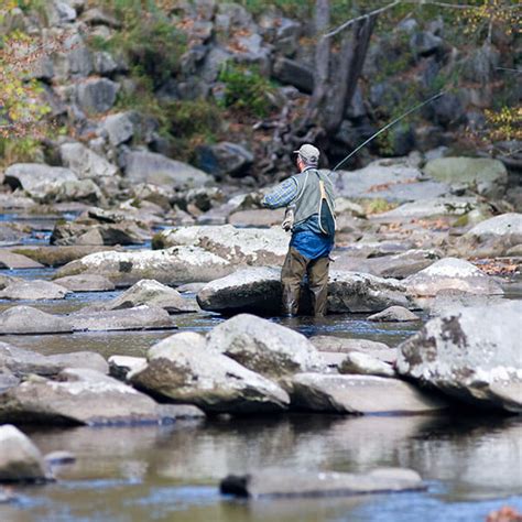 Great Smoky Mountain National Park