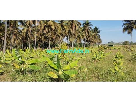 Acres Coconut Farm For Sale Kms From Mysore Mysore Farmads In