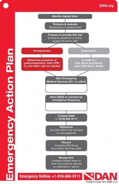 Emergency Action Plan Examples Format Google Docs Word Pages Pdf