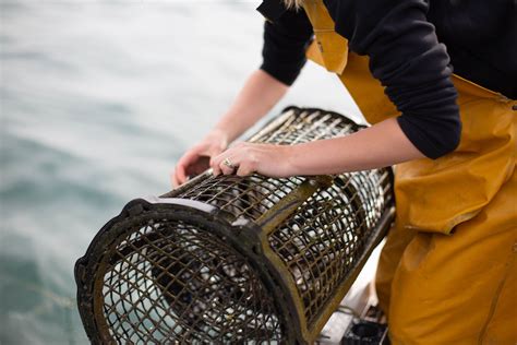 Wecandoo Immergez vous dans la vie d un pêcheur du lac Léman le temps