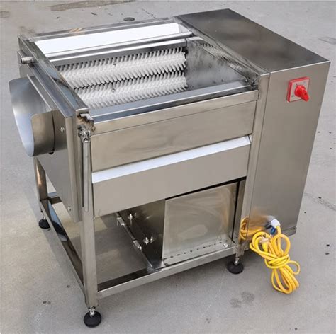 Vegetables And Fruits Automatic Potato Ginger Washing And Peeling