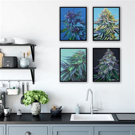 Transform Your Kitchen into an Herb Paradise – Canna Queens Project