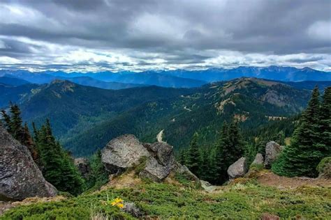 14 Boondocking Olympic National Park In 2024