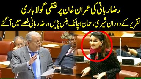 Senator Raza Rabbani Blasts Pti Govt In Senate Speech Tpn Youtube