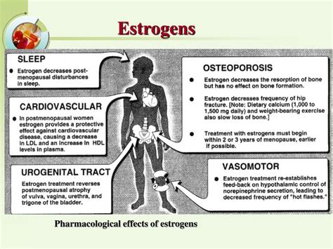 Ppt Drugs Affecting Reproductive System Powerpoint Presentation Free Download Id 6232271