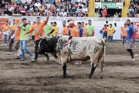 Fotos Toreros Improvisados El Diario Vasco