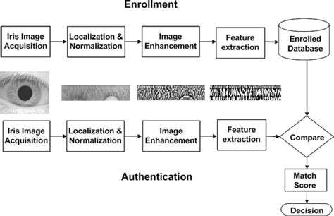 Block Diagram Of An Iris Recognition System Download Scientific Diagram