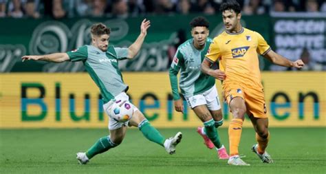 Hoffenheim vs Werder Bremen prediction and betting tips 03 Мarch 2024