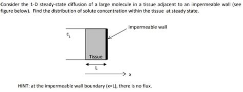 Solved Consider The D Steady State Diffusion Of A Large Chegg