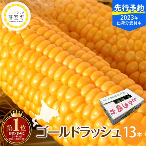 【ふるさと納税】楽天 ランキング 連続 1位 獲得【先行予約 2023年 8月中旬より出荷】とうもろこし 北海道産 とかち晴れ ゴールド