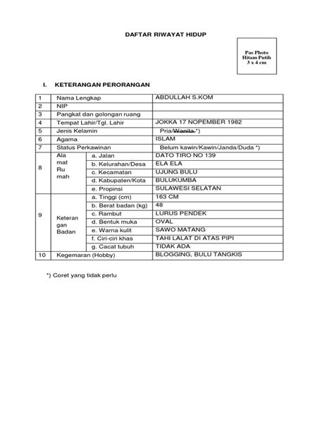 Daftar Riwayat Hidup Bkn 11 Pdf