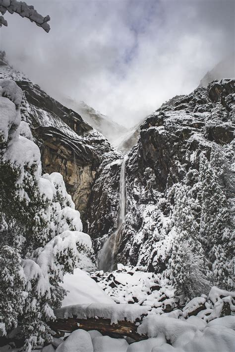 Winter in Yosemite National Park, | Free Photo - rawpixel