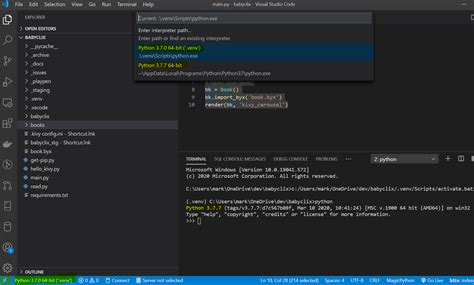 Connect Visual Studio Code To Python Interpreter Printable Forms Free