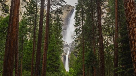 landscape, Waterfall, Forest