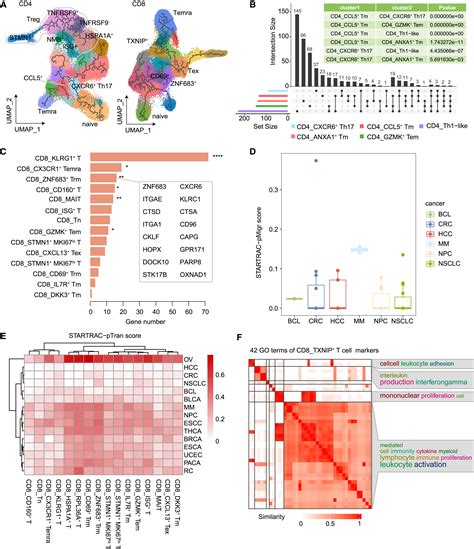 Identification Of Shared Characteristics In Tumor Infiltrating T Cells