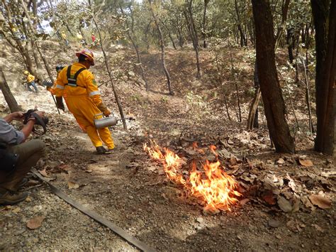 Capacita La Semadet A Brigadistas Para Combatir Incendios Forestales