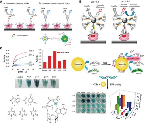 A Comparison Of A Traditional Enzyme Linked Immunosorbent Assay