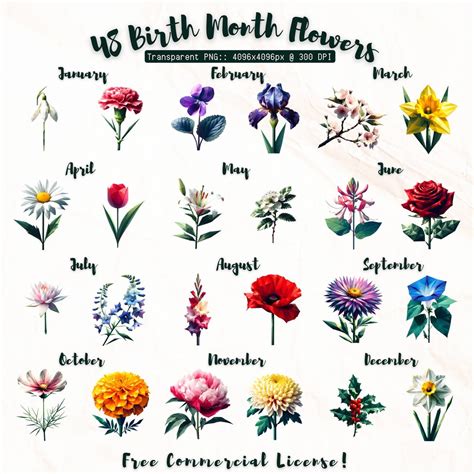 48 Birth Month Flowers Clipart PNG Flower Bundle Birth Month Low-polygon Clipart Bundle - Etsy