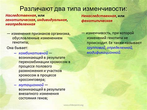 Фенотипическая или модификационная изменчивость - Презентация Биология
