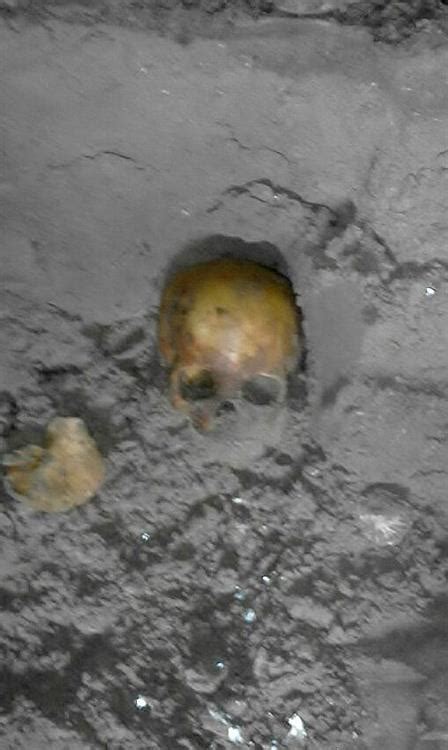 Skull and bones discovered in caves | Mossel Bay Advertiser