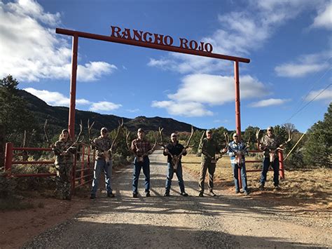 New Mexico Elk Hunts Big Game Hunting Rancho Rojo Outfitters